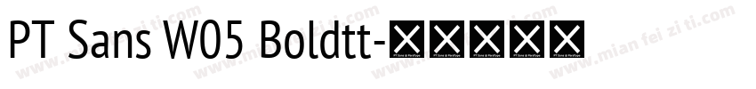 PT Sans W05 Boldtt字体转换